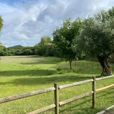 Farm stay Alojamento Local Olhos D'agua